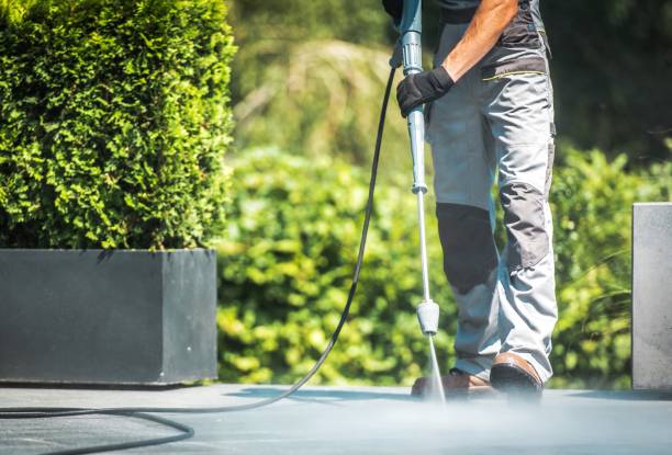 Best Sidewalk and Walkway Cleaning  in Butler, PA